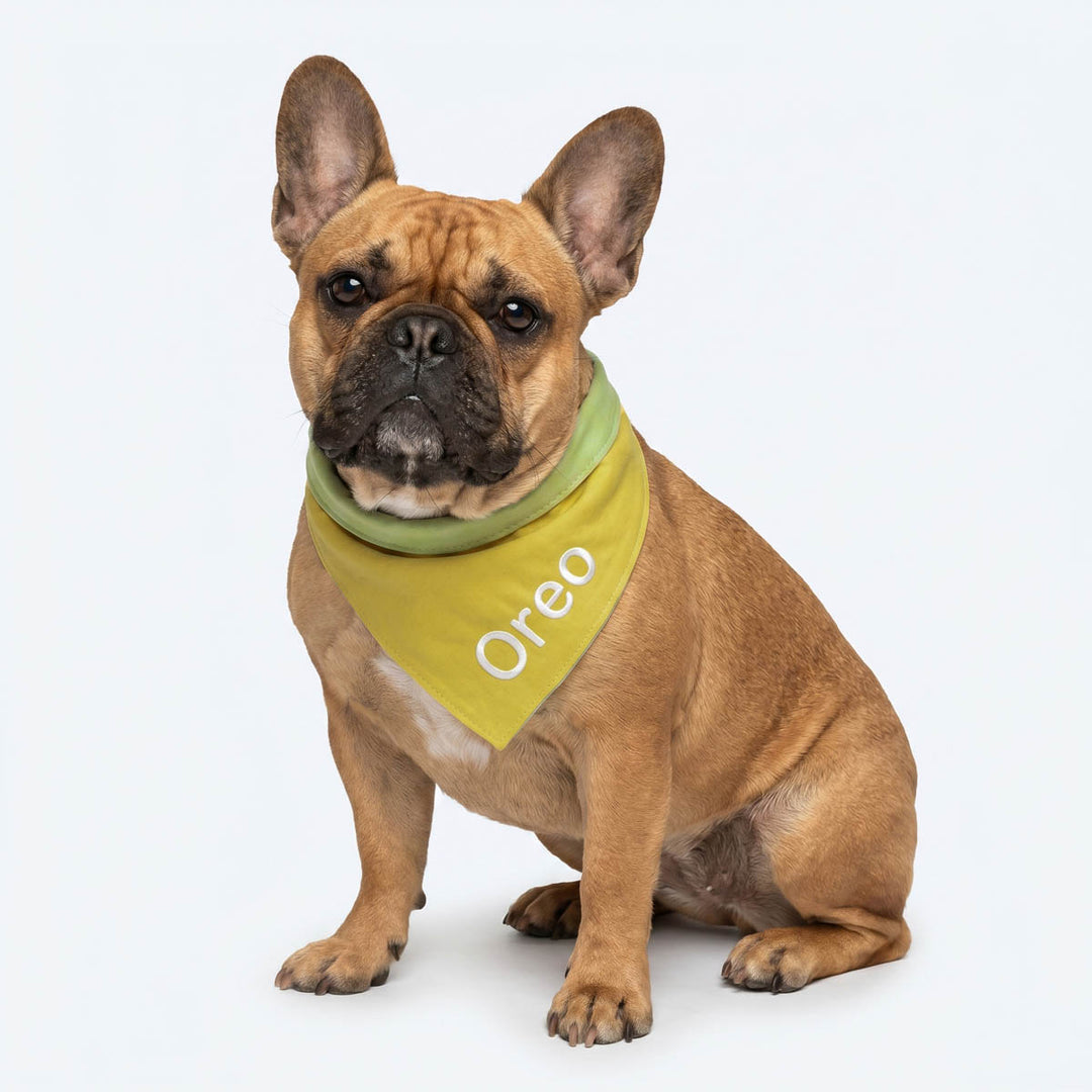 Dog wearing a green dog bandana with 'Oreo' on a white background