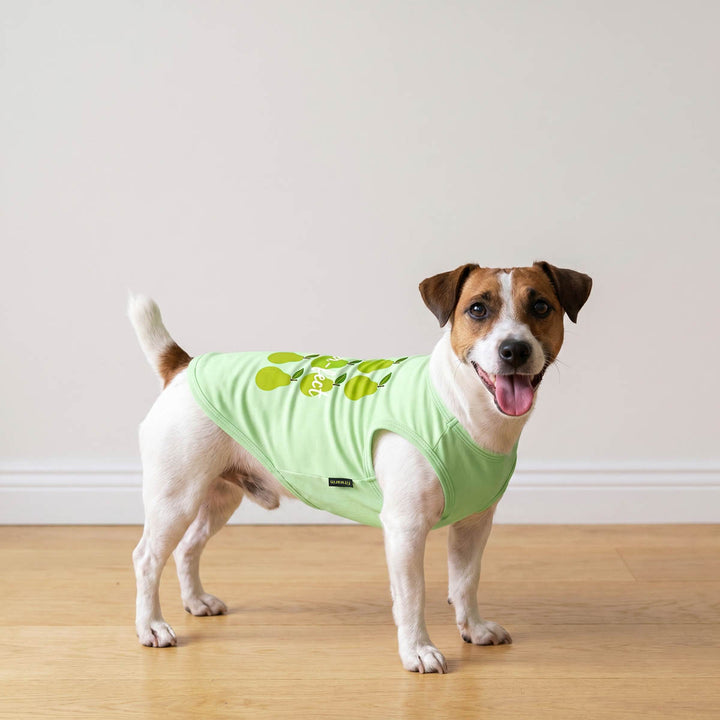 Dog wearing a light green dog t-shirt with pear patterns on a wooden floor.