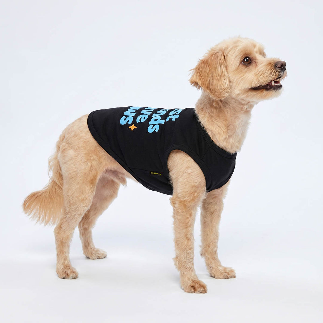 Small dog standing on the white background with dog tshirt in 'Best Friends Have Paws' lettering 