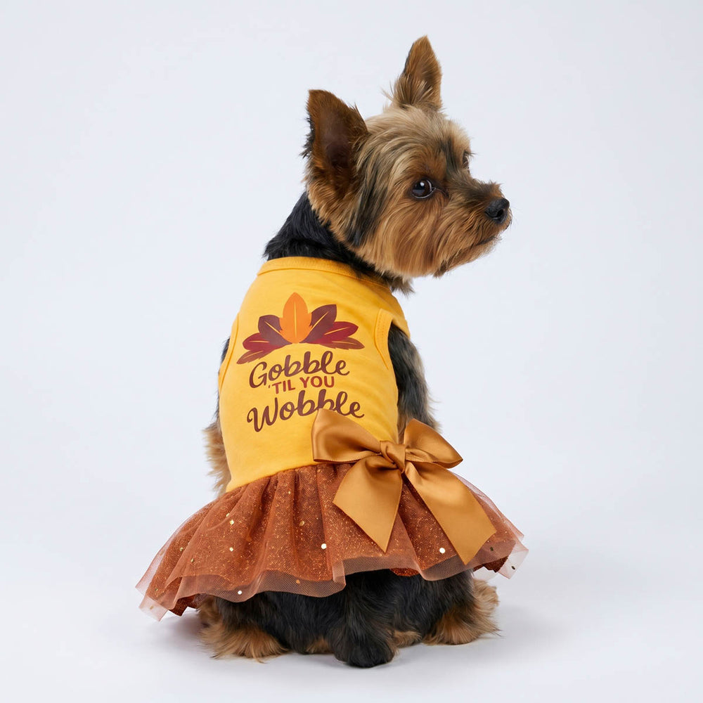 Yorkie looks back with a Thanksgiving dress for dogs with 'Gobble' til you wobble' lettering, paired with a orange tulle skirt and satin bow