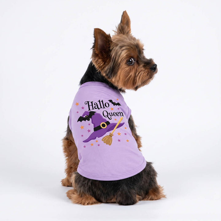 Back view of Yorkie wearing a Halloween shirt for dogs with 'Hallo Queen' lettering