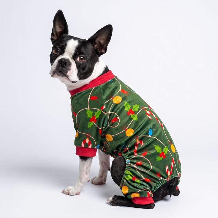 Boston Terrier wearing a colorful light prints Christmas dog onesie on a white background