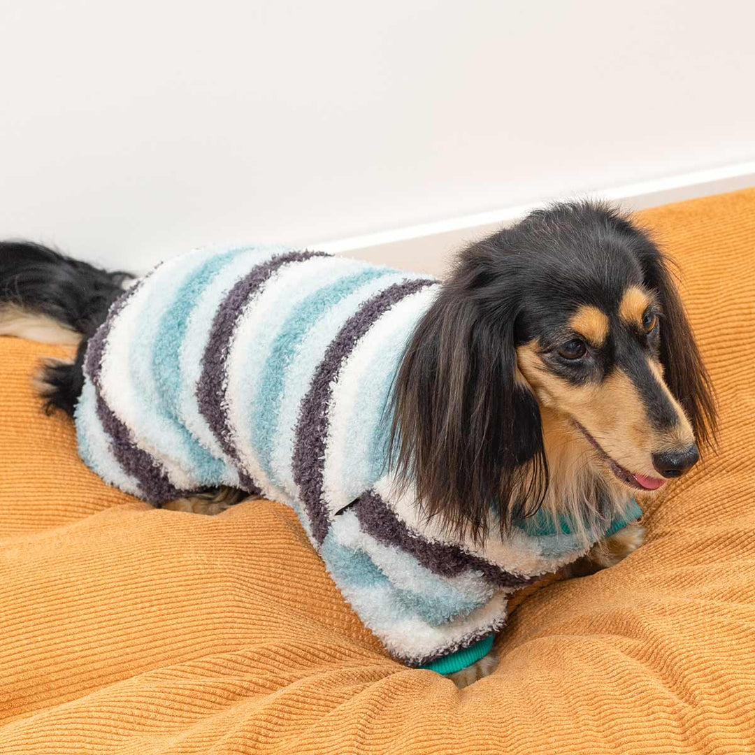 Small dog wearing soft striped dog onesie with blue and white fuzzy design