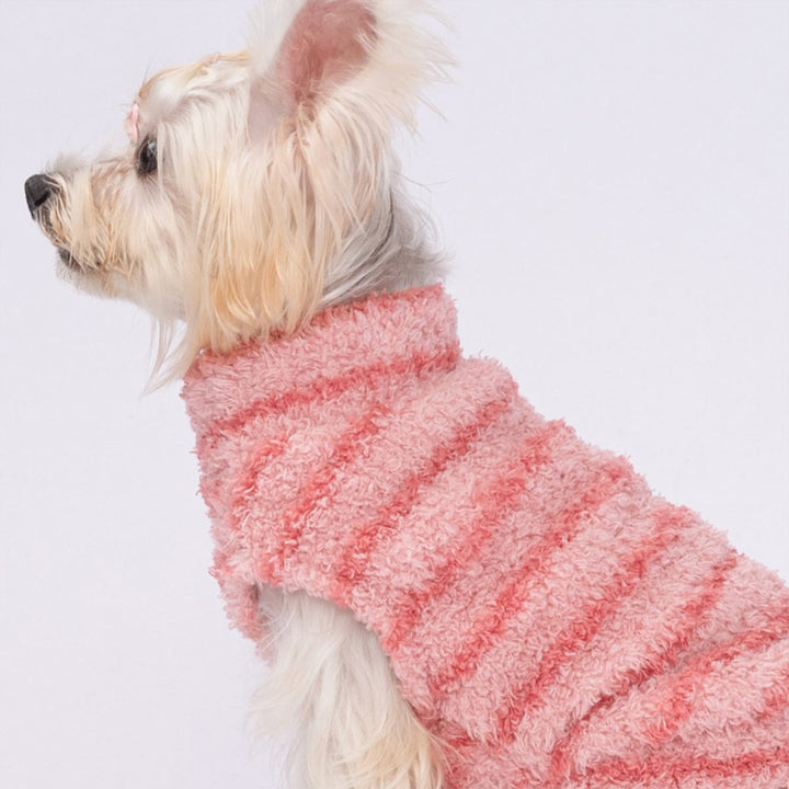 Dog in fluffy pink striped dog sweater showing soft texture and cute style