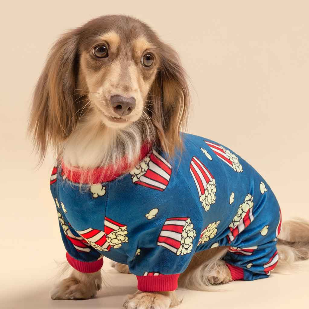 Dog Clothes Target Pet Christmas Pajamas For Dogs Best Target Dog