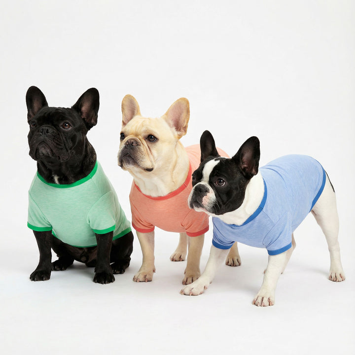 Solid color dog shirts worn by three dogs for everyday wear