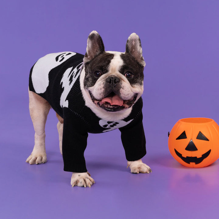 Black ghost dog sweater on French Bulldog - Halloween pullover with white ghost embroidery for small dogs.