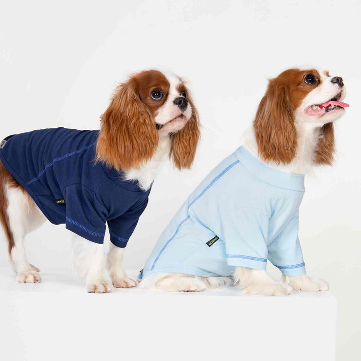 King Charles Spaniels in Summer Dog Shirts - Fitwarm Dog Clothes