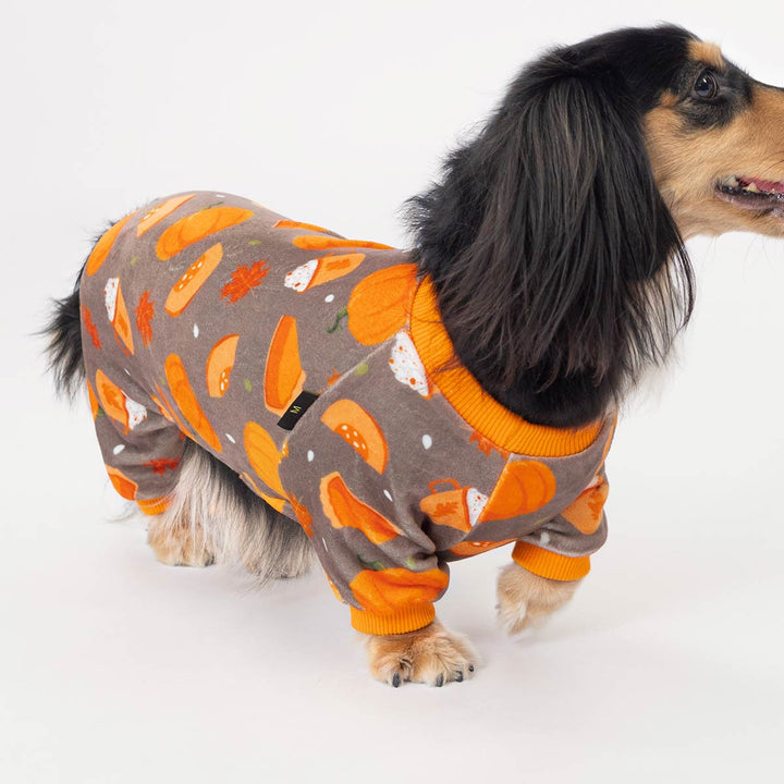 Smiling dachshund in playful pumpkin dog pajamas perfect for autumn photoshoots