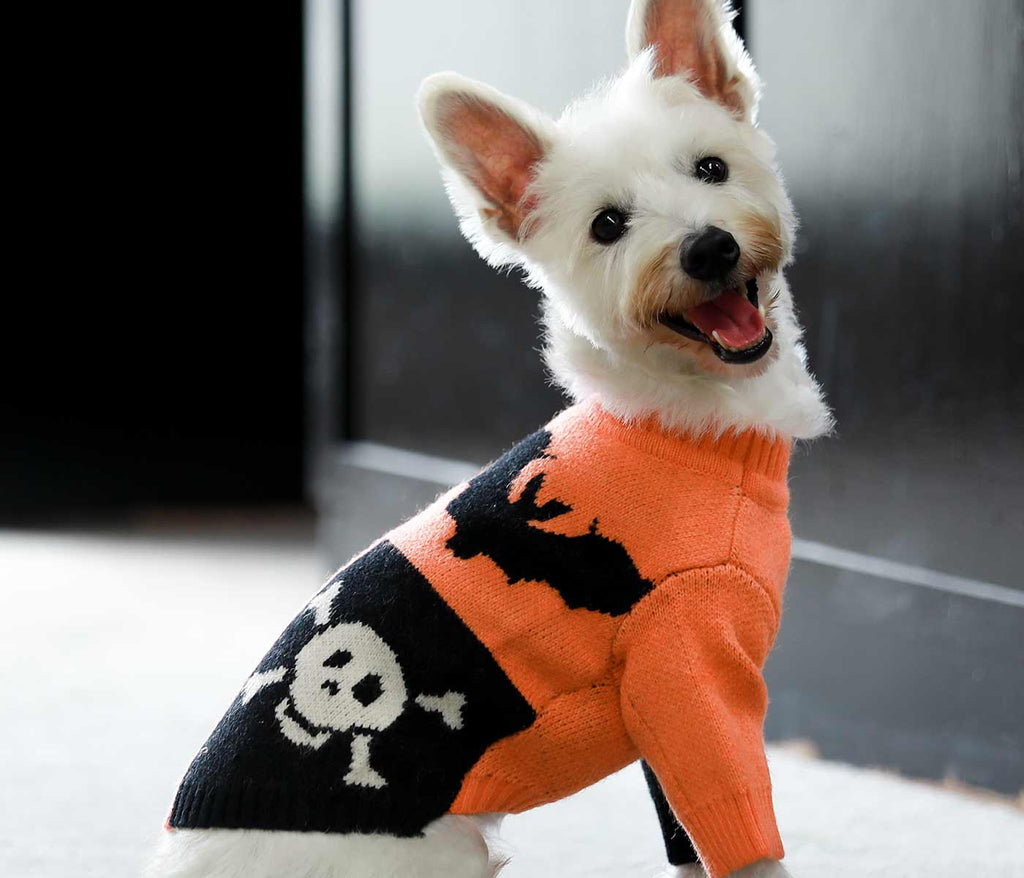 Spooky Halloween Dog Sweater - Fitwarm