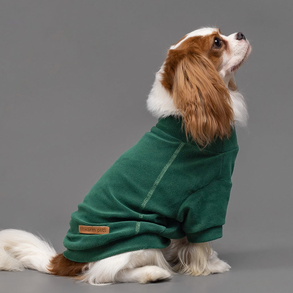 Fitwarm forest green fleece turtleneck dog sweater. Cozy and warm apparel for small dogs.