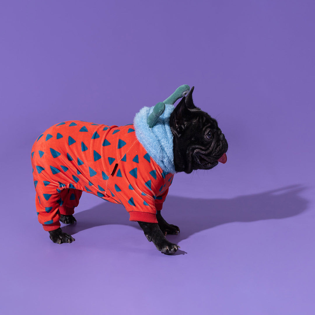 Black French Bulldog in an orange and blue monster costume for dog