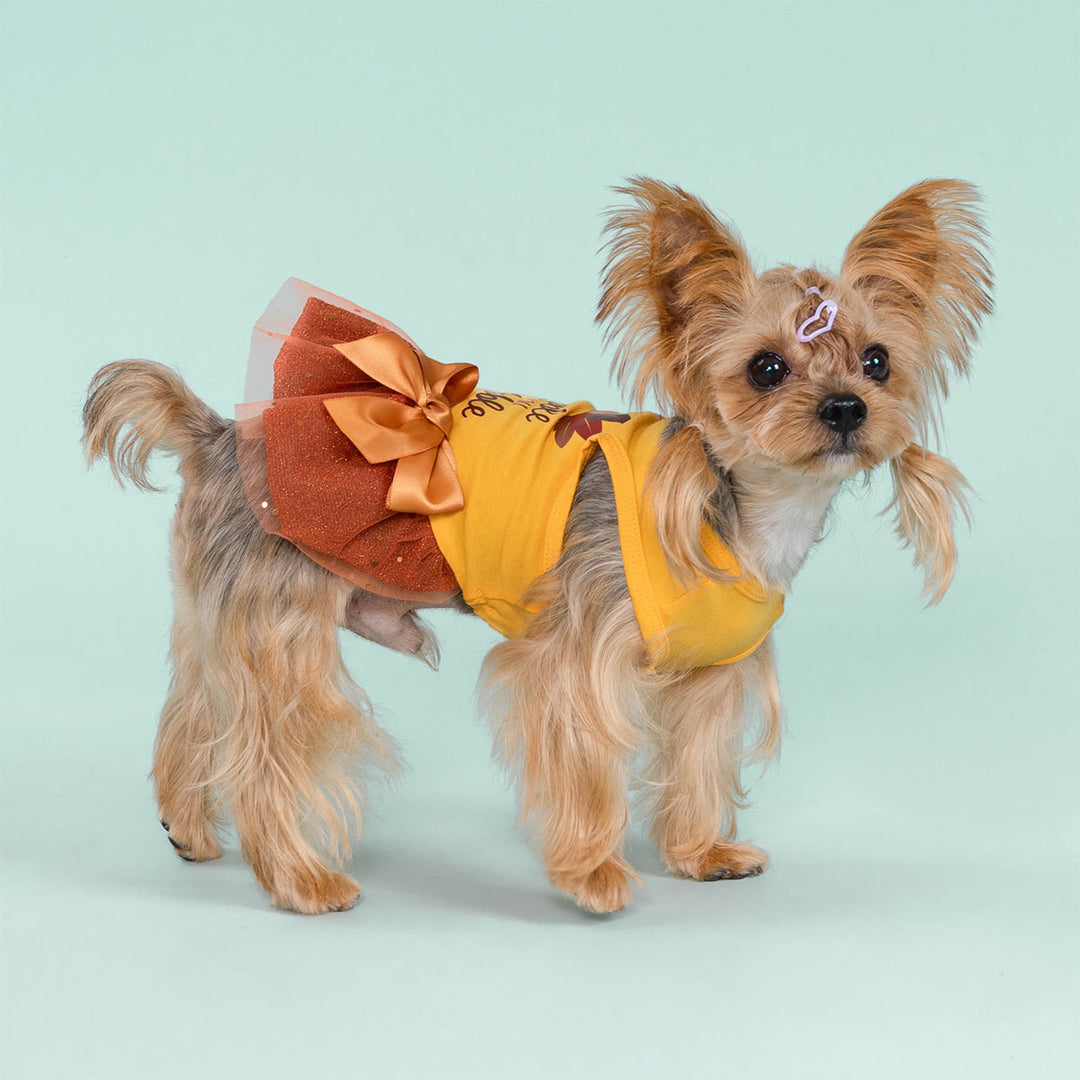 Yorkshire Terrier wearing yellow turkey dog dress for Thanksgiving photoshoot