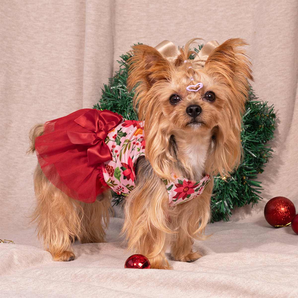 Fitwarm Weihnachtskleid Für Hunde – Süßes Zuckerstangen-Outfit Für Kleine Hunde (Größe L, Rot/weiß)