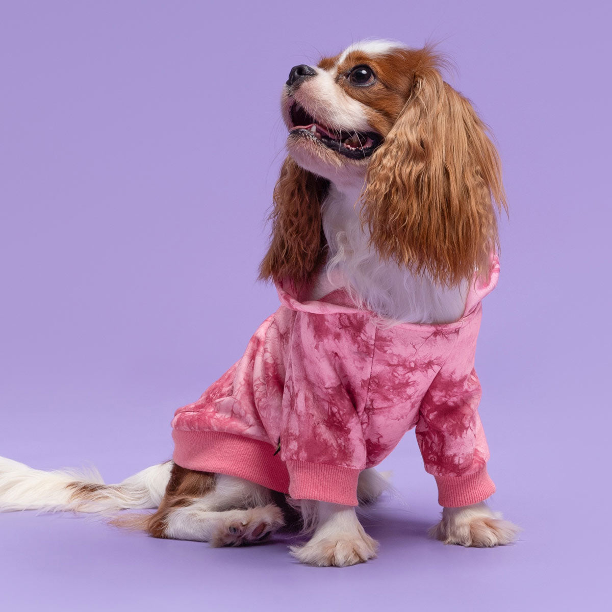 Small Dog Tie Dye Hoodie | Pink Gray Turquoise Fleece – Fitwarm