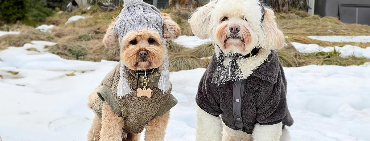 Dog Winter Clothes - Dog Coat - Fitwarm