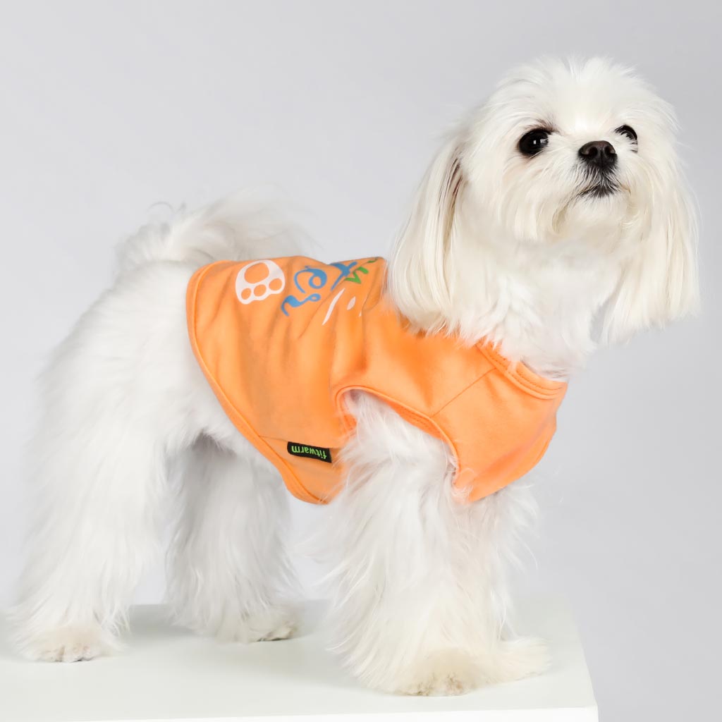 Maltese in an Orange Dog Shirt with 'Happy Easter' Lettering - Fitwarm Dog Clothes