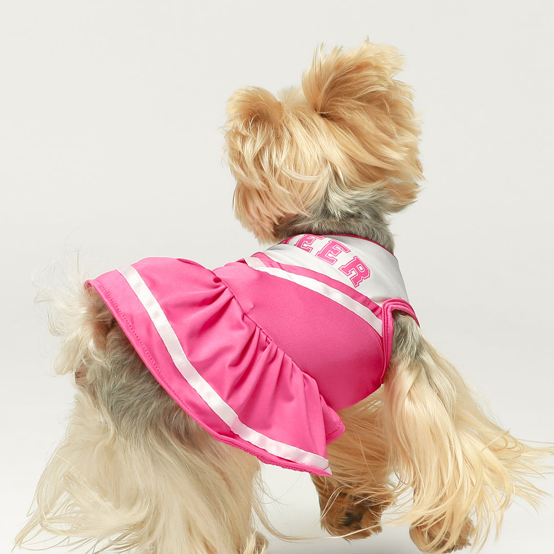 Cheerleader Dog Costume pet clothing