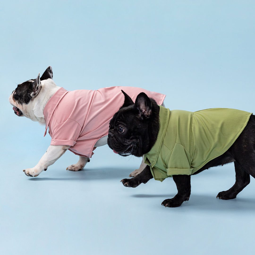 dog dress shirt collar DIY Dress Shirt Dog Collars (and How to Adjust Collar Size)
