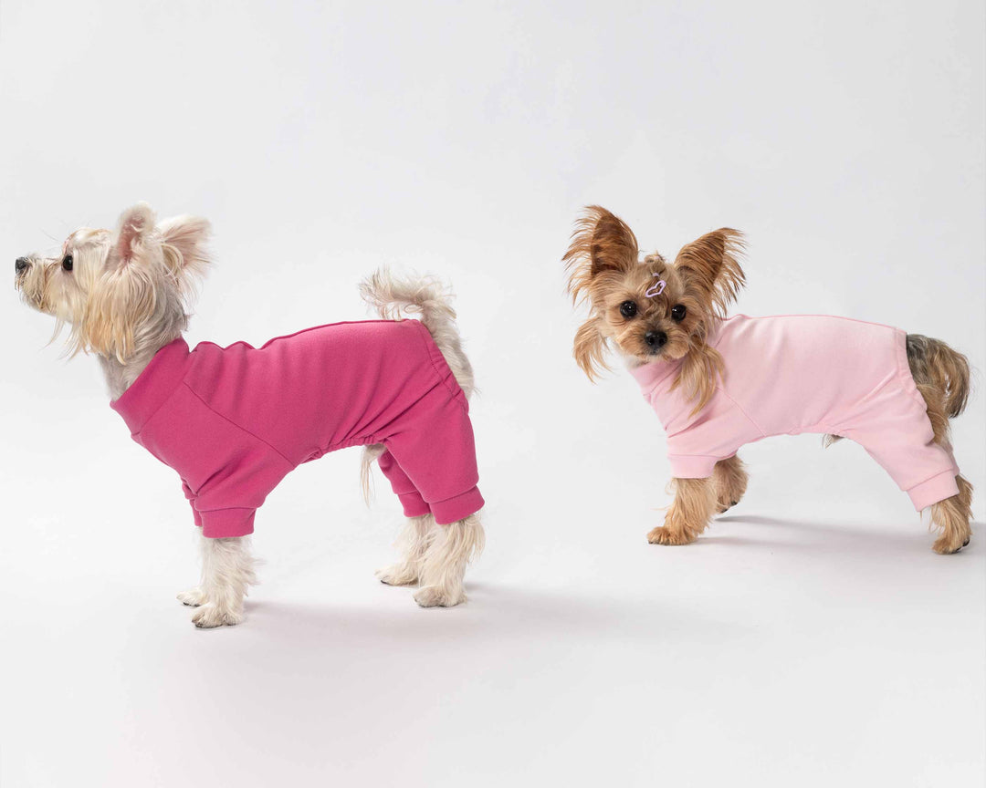 Two pups showcasing pastel dog jammies while posing against a simple white studio background