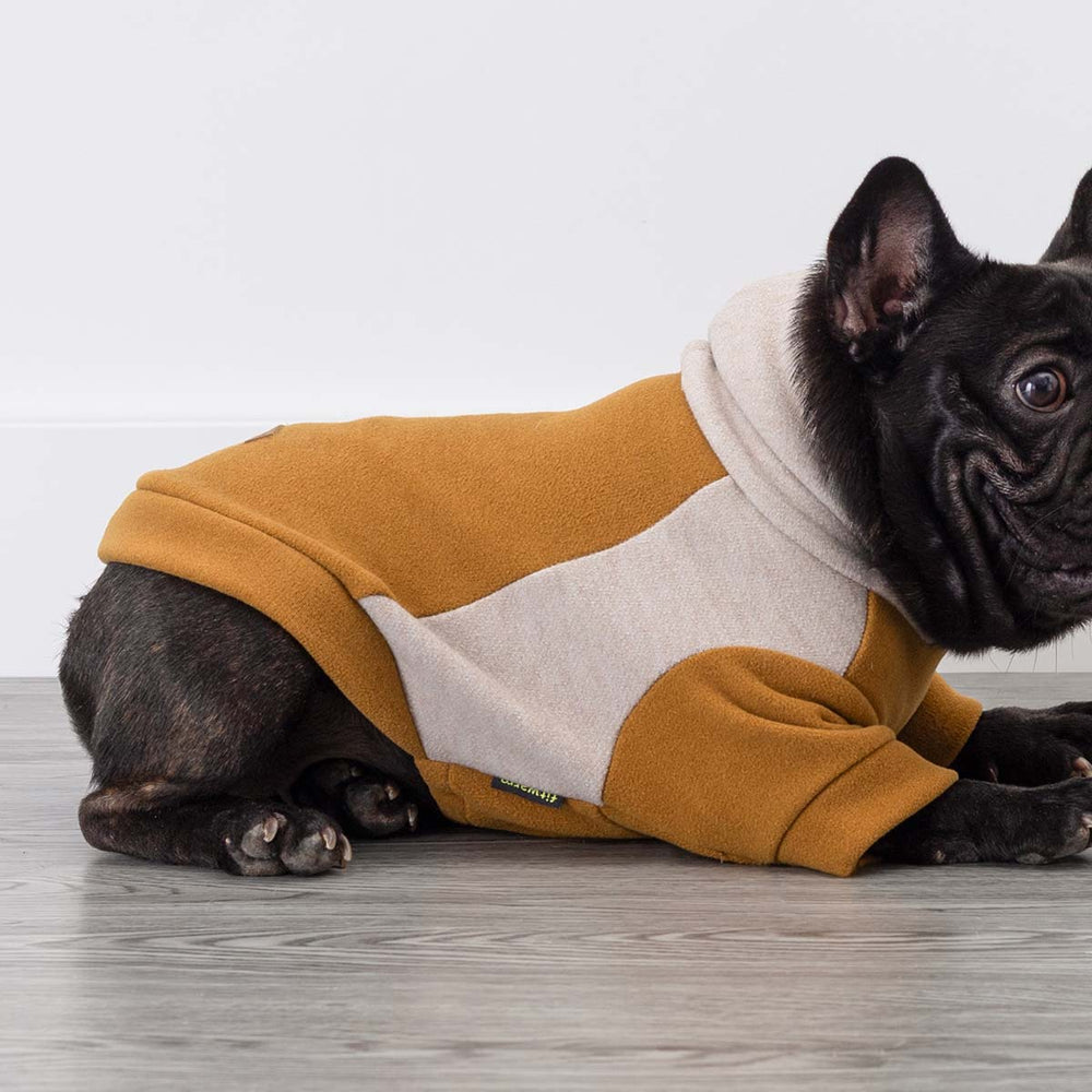 French Bulldog lying on floor wearing mustard and beige color block dog hoodie