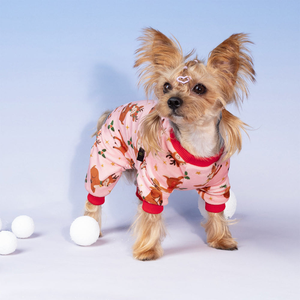 Small dog wearing pink Christmas dog pajamas with reindeer print