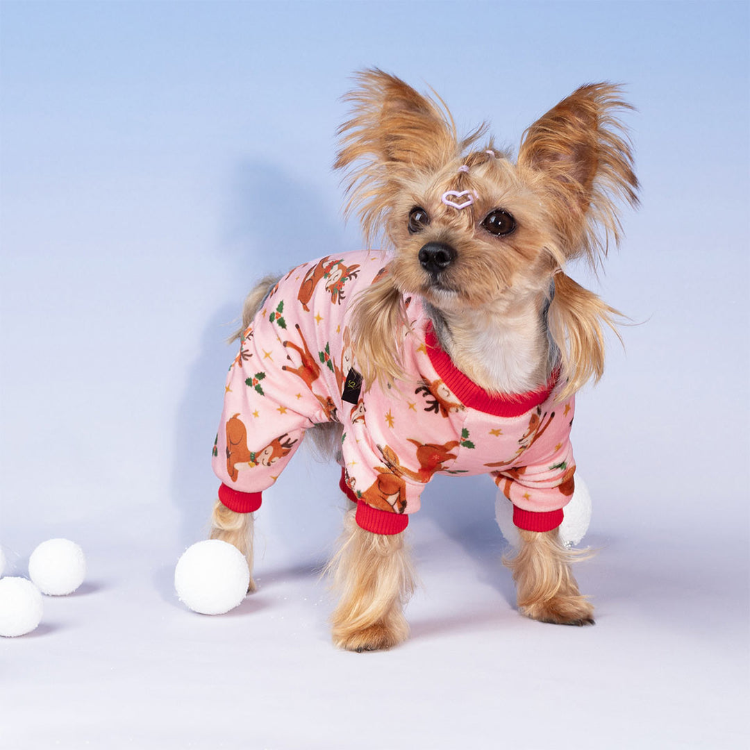 Small dog wearing pink Christmas dog pajamas with reindeer print