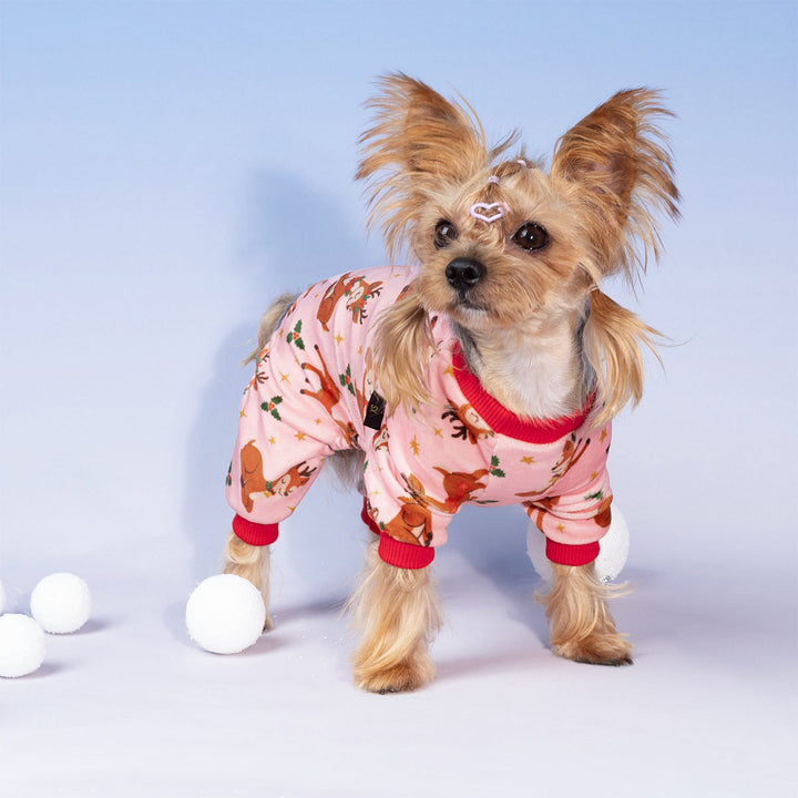 Small dog wearing pink Christmas dog pajamas with reindeer print