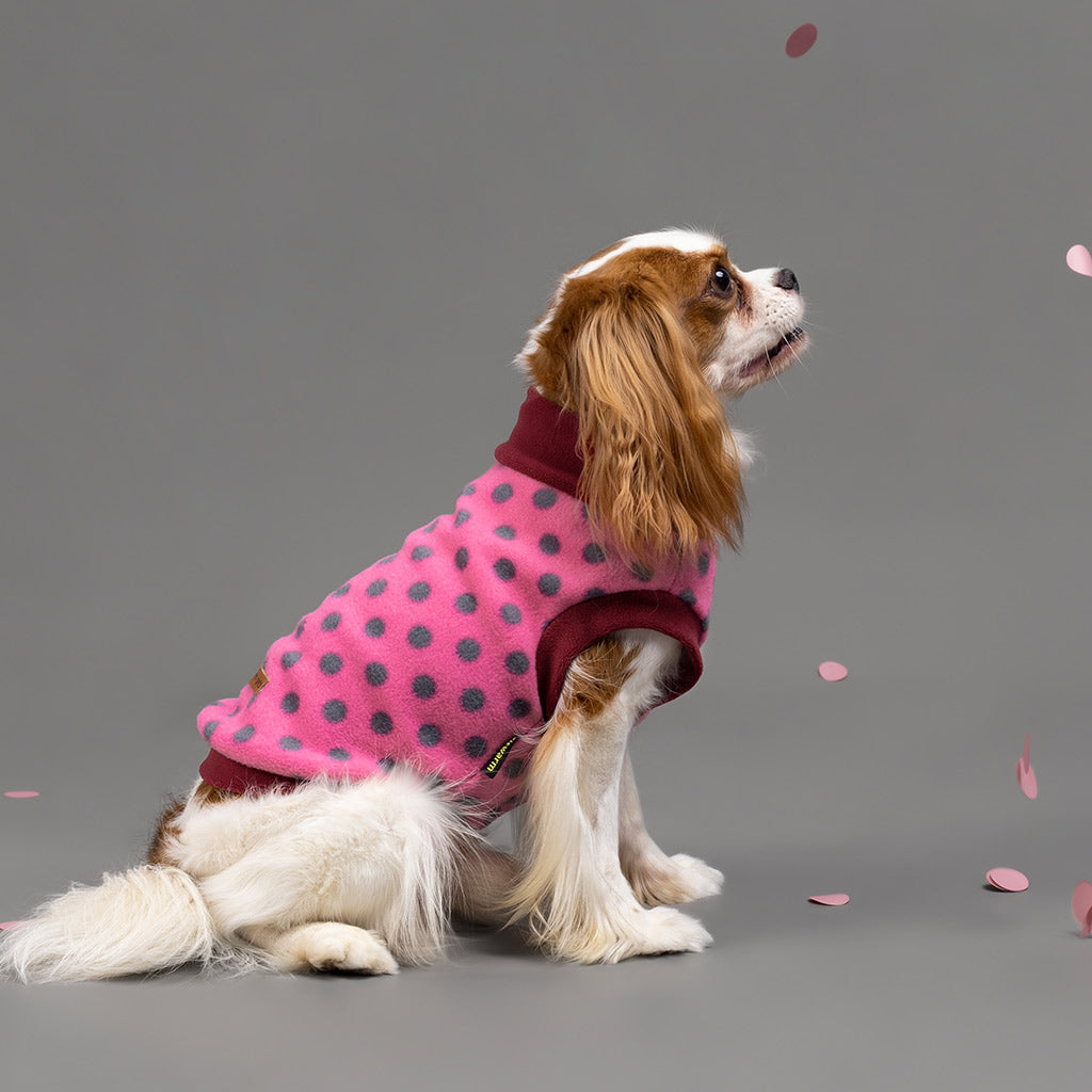 Cozy Polka Dot Dog Sweater Pink Gray Mock Neck Fleece – Fitwarm