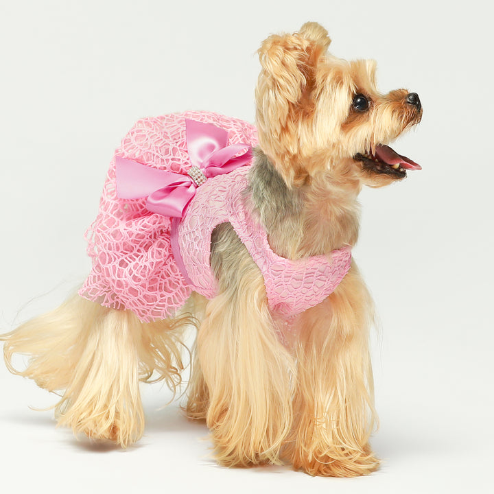 ancy Tulle Pink dog in dress