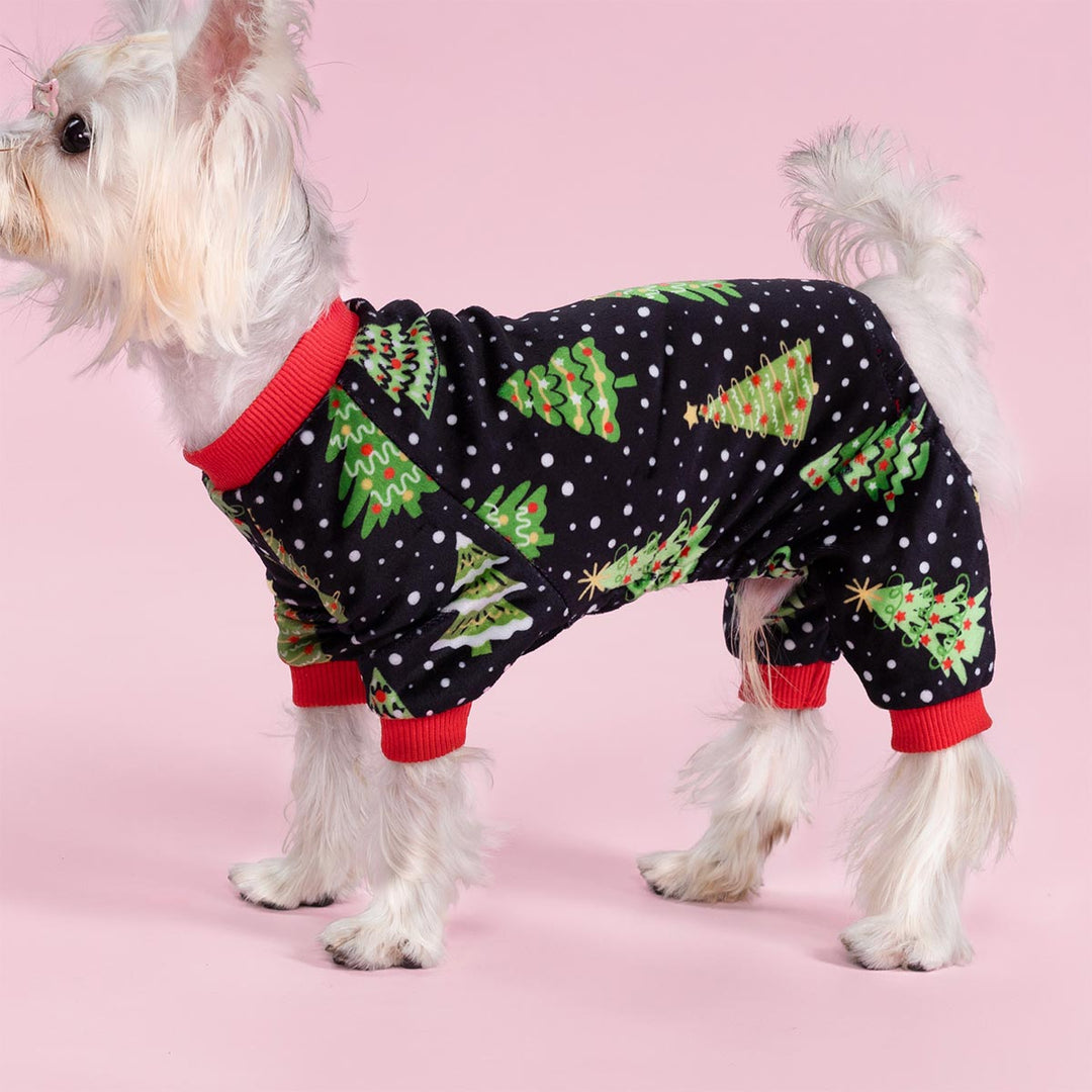 Small dog wearing black Christmas dog pajamas with green Christmas tree patterns and red cuffs