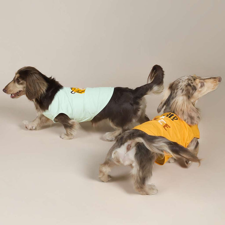 Dachshunds in Tiger Themed Dog Shirts - Fitwarm Dog Clothes
