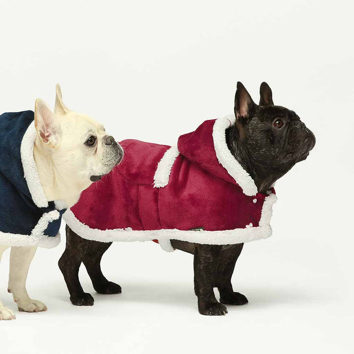 Dog Coats - Dog Winter Coats - Dog Winter Clothes - Fitwarm
