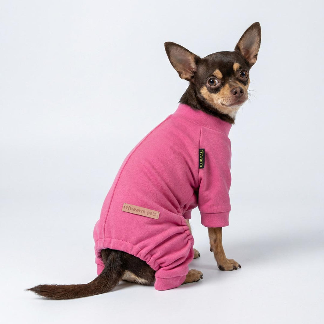 Chihuahua wears a pink pajamas for dogs and looks back