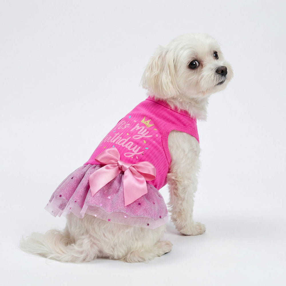 Small dog wearing a pink dog tutu dress with 'It's my birthday' lettering