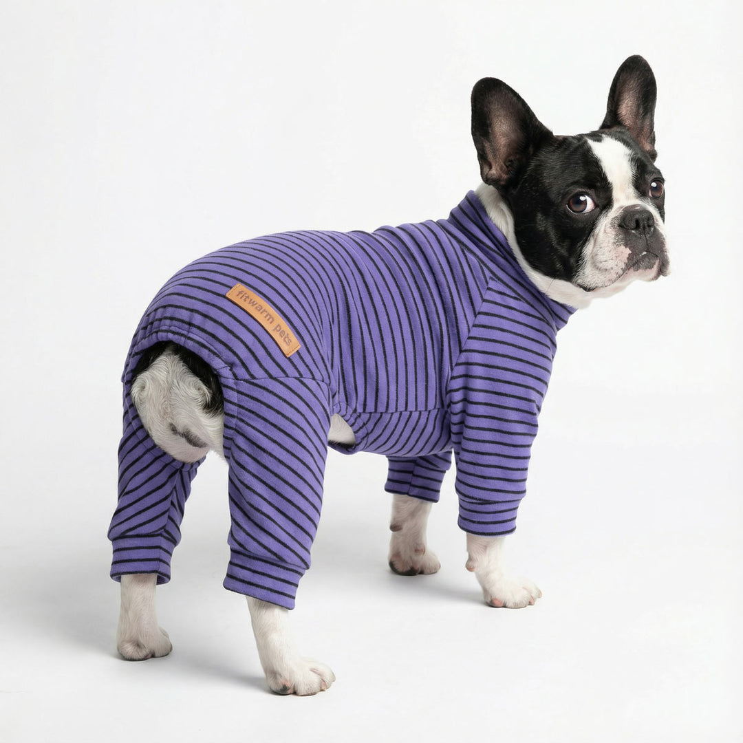 Black and white French bulldog dressed in a purple striped dog jammies, standing on a clean white studio background.
