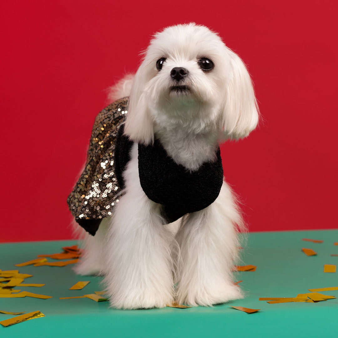 Gold Sequin Dog Dress | Sparkly Pet Party Attire Black / X-Small Gold Sequin Dog Dress | Sparkly Pet Party Attire Black / X-Small