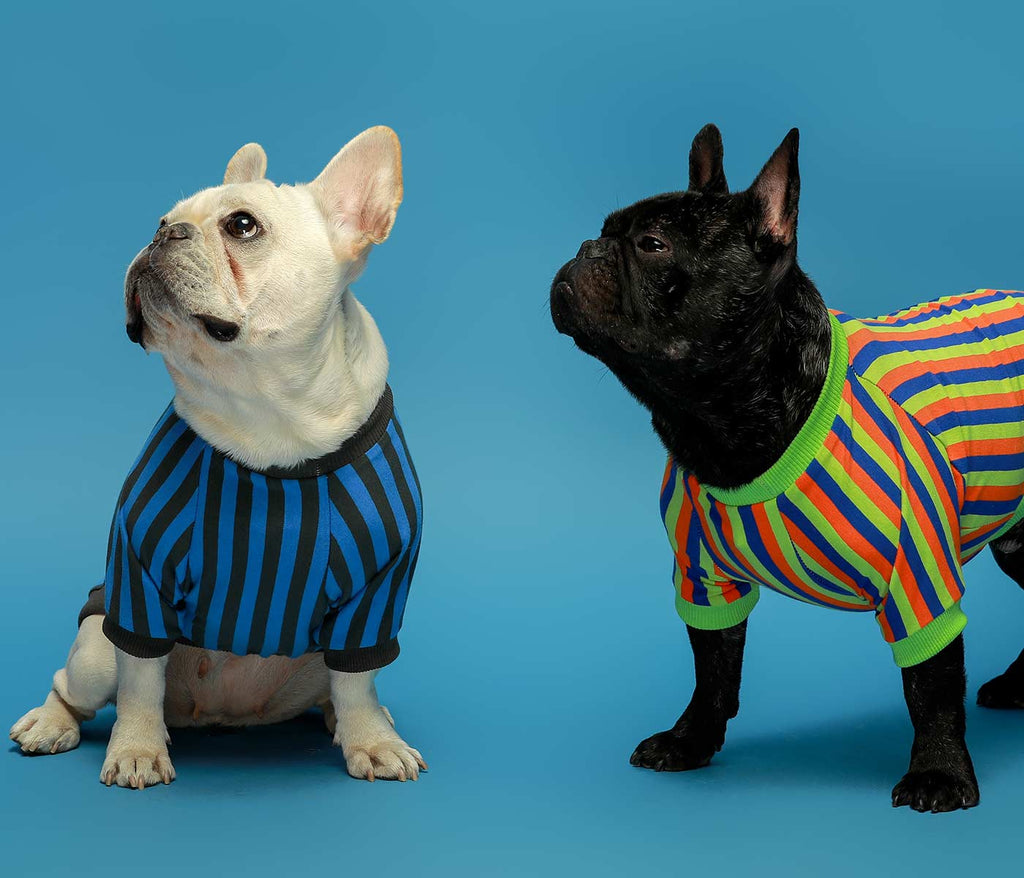 2-Pack 100% Cotton Striped French Bulldog Shirts Green-Blue - Fitwarm