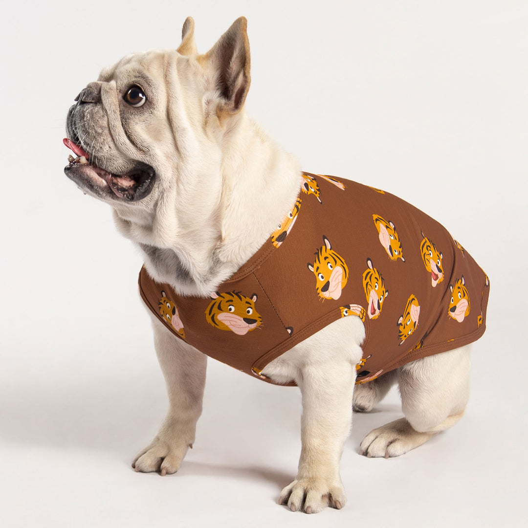 French Bull Dog in a Tiger Themed Dog Shirt - Fitwarm Dog Clothes