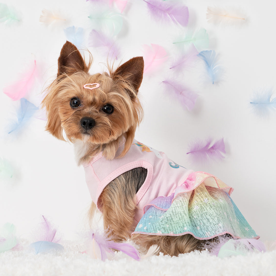 Unicorn Dog Tutu Dress | Birthday Tutu for Small Dogs Fitwarm Unicorn Dog Tutu Dress | Birthday Tutu for Small Dogs Fitwarm