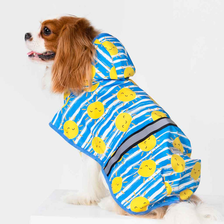 King Charles Spaniel in a Cute Sun Dog Raincoat - Fitwarm Dog Clothes