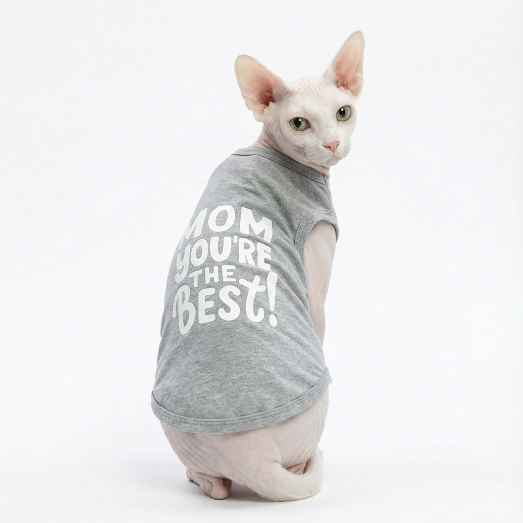Sphynx cat wearing a funny dog tank top with 'Mom you're the best' lettering