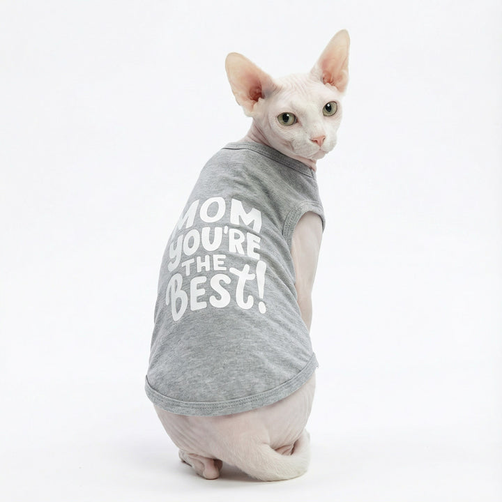 Sphynx cat wearing a funny dog tank top with 'Mom you're the best' lettering