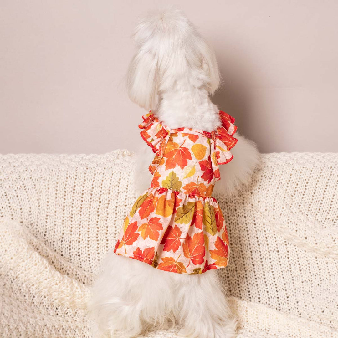 Fall Maple Ruffle Dog Dress | Autumn Colors & Comfort Fitwarm Fall Maple Ruffle Dog Dress | Autumn Colors & Comfort Fitwarm