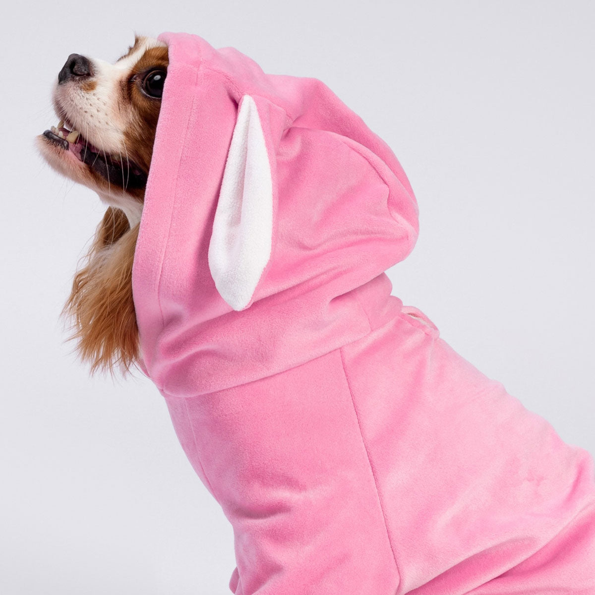 Pink Dog Bunny Costume | Funny Halloween Pet Outfit – Fitwarm