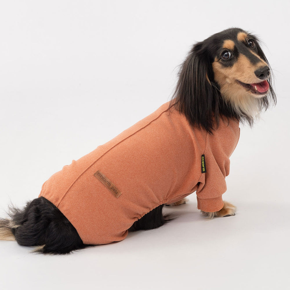Dachshund wearing orange dog pajamas, sitting on white background and looking back.