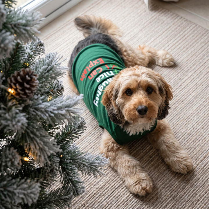 Small fluffy dog lying on a beige carpet next to a decorated Christmas tree, wearing a green dog t shirt with white and red text that reads 'Naughty Nice I Can Explained'
