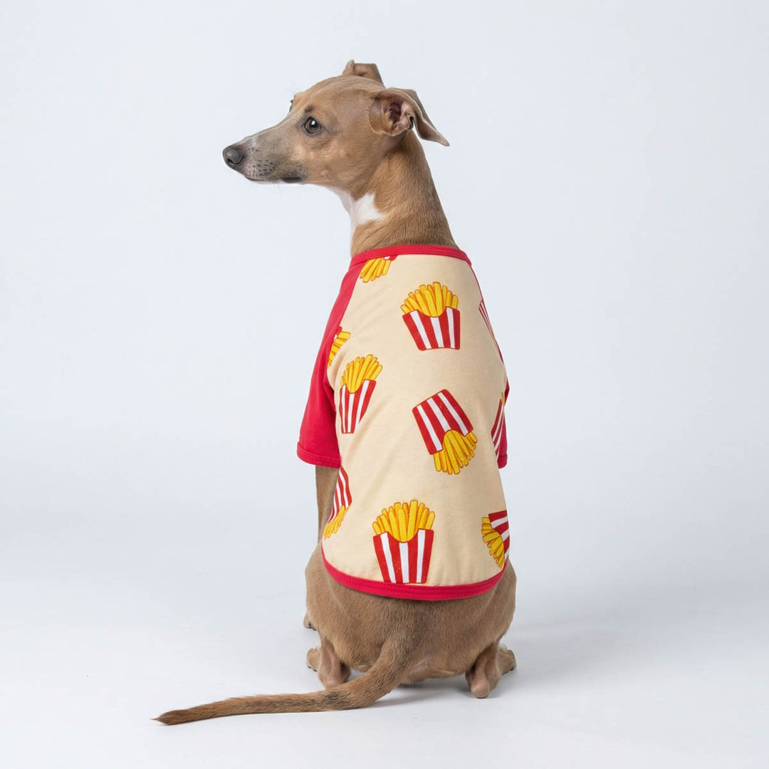 Dog wearing a dog shirt with French fry pattern on a white background