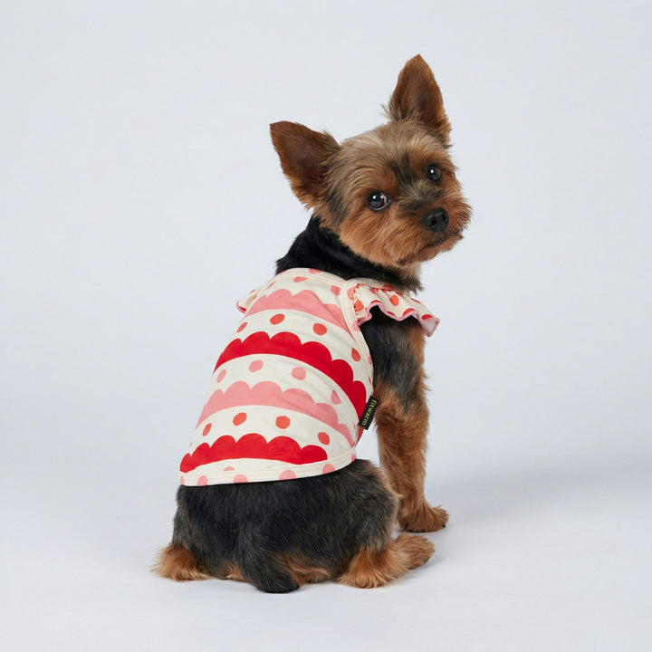 Yorkie in a sleeveless ruffle shirt for dogs