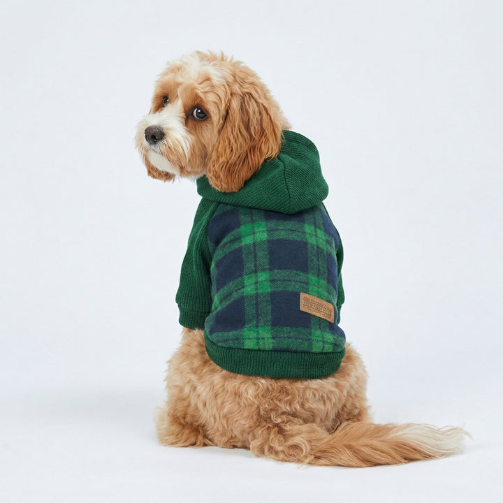 Back view of dog wearing plaid dog hoodie with green hood detail